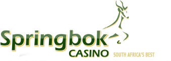 Springbok Casino Casino